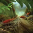 A Cretaceous mite with ultra-long setae ...